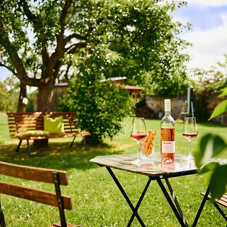 Stara Brusirna شقة Šatov