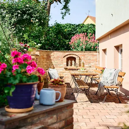 شقة Stara Brusirna Šatov